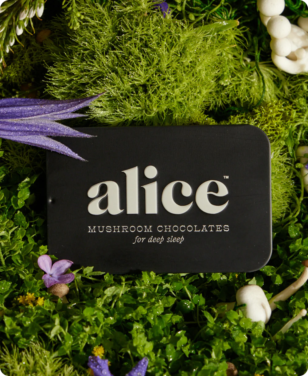 Nightcap-Mushroom-Chocolate-Bar.webp