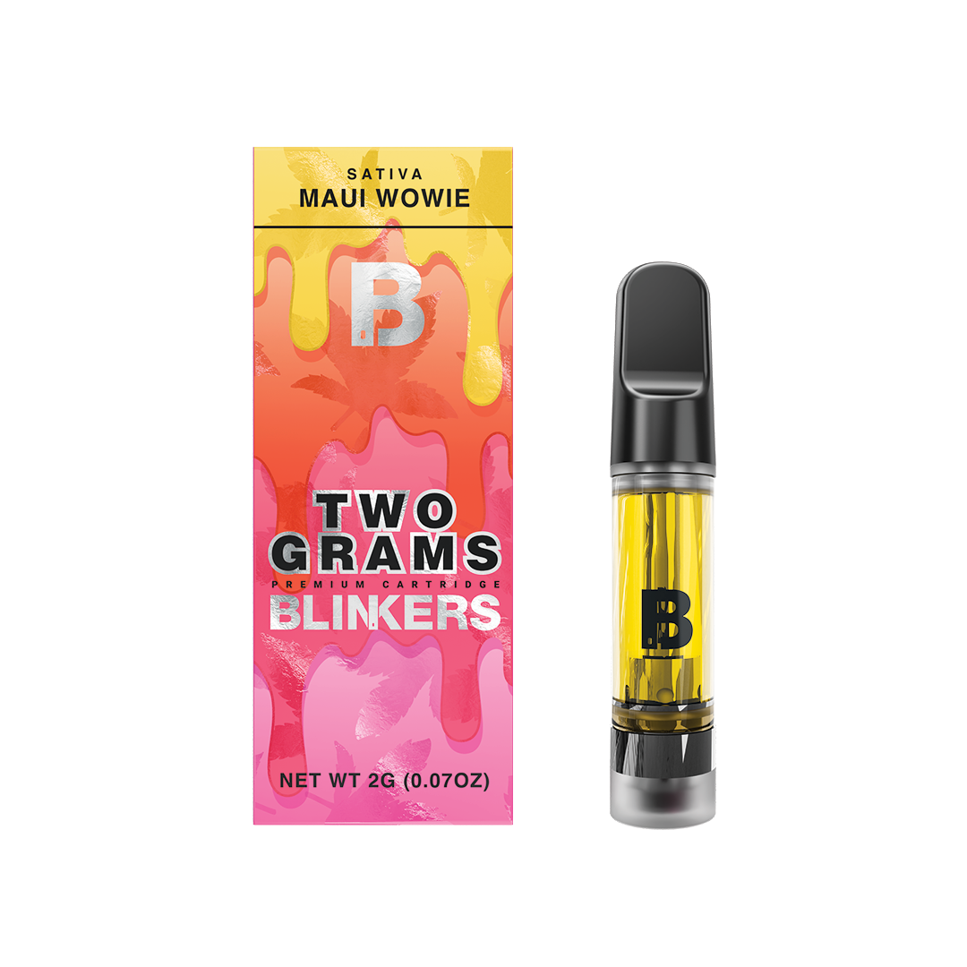 blinkers-2g-car-maui_wowie.png